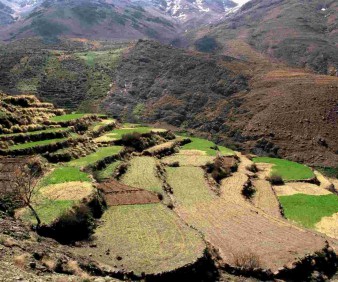 Tacheddirt Morocco